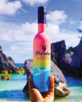 9 Parishes Bermuda Rum Swizzle